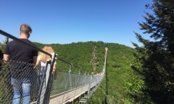Geierlay (11)