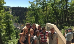 Geierlay (3)