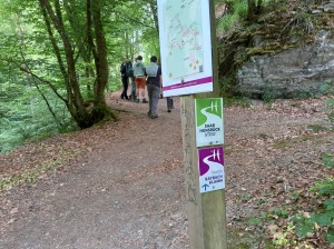 Bärenbande Burg-Waldeck-Hike Mai 2025 (13)