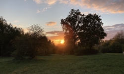 image00010