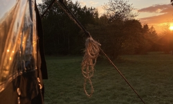 image00014